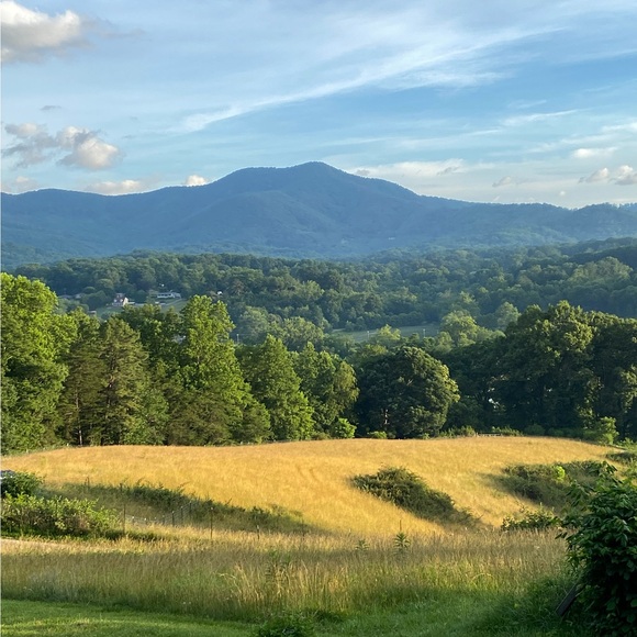 bluesparrowmtn